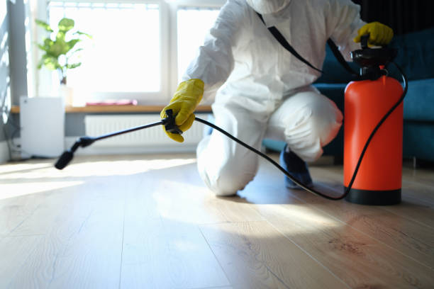 Reliable Biohazard contractor in Clermont, FL by Trauma Clean Pros
